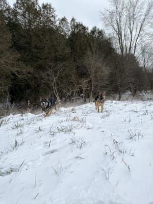 78ACF867-BBA3-4E26-B6AC-0532F07B14F3.jpeg