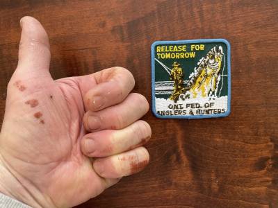 D02ACEE2-AAEC-4A4D-9DFA-AC9DC09F258D.webp
