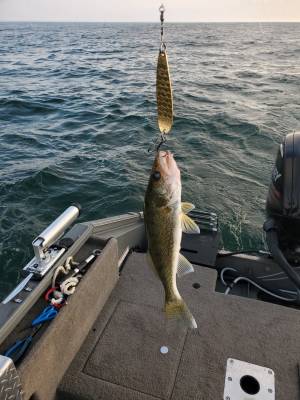20210808_071310.webp