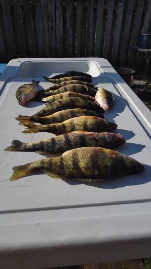 IMG_20230416_084536616.webp