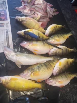 20230416_105503.webp