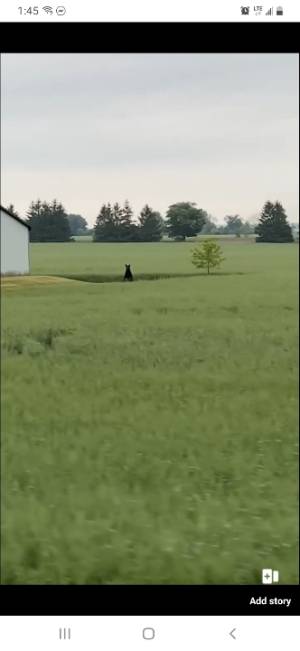 Resized_Screenshot_20230613-134547_Messenger.webp