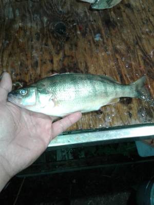 20230715_014621.webp