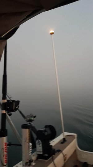 foggy as hell.jpg