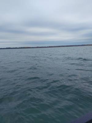 20231027_110511.webp