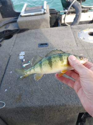 20231027_132126.webp