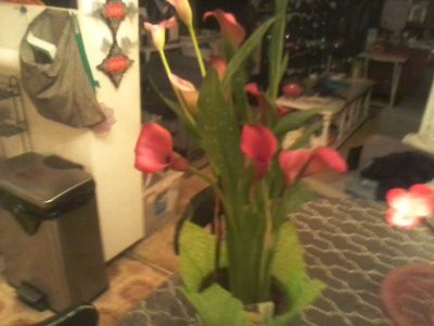 Pretty flower from Anita and Nick for Christmas.jpg