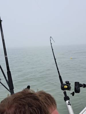 20240505_163109.webp