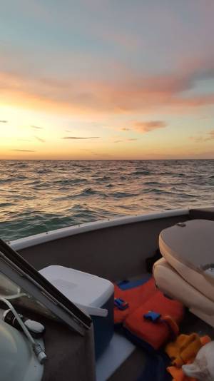Friday waves.webp