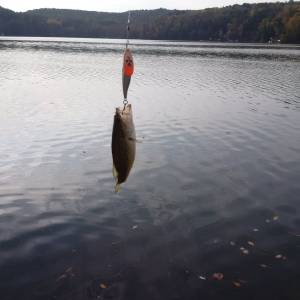 IMG_20170927_084736.webp