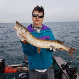 20171021_090953.webp 20171021_090953.webp