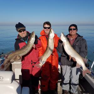 20171203_112155.webp