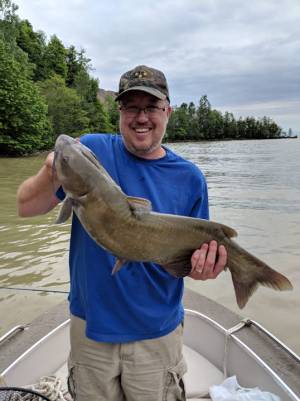catfish2.webp