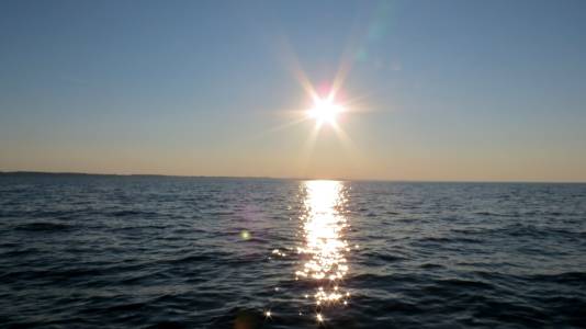 IMG_1434.webp