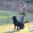 blackdog