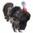Turkeee
