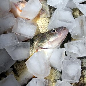 IMG_3290.JPG
