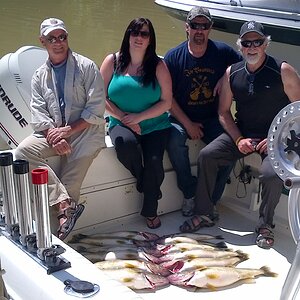 IMG_00000349.jpg