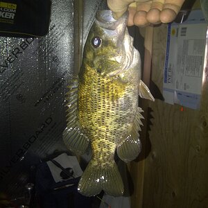 IMG-20140207-00038.jpg