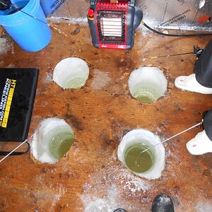 ice fishing feb15 026 (800x600).jpg