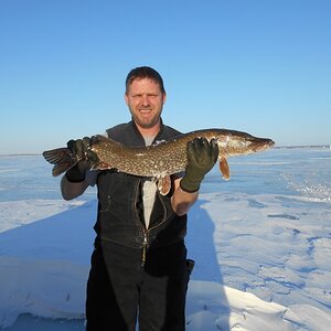 odin,ice fishin 021 (1024x768).jpg