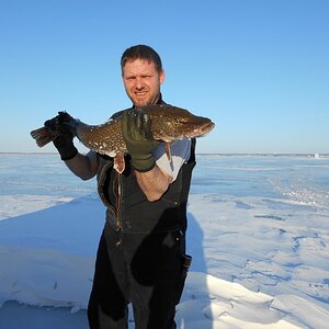 odin,ice fishin 023 (1024x768) (2).jpg
