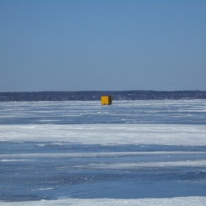 odin,ice fishin 047 (1024x768).jpg