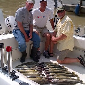 IMG_00000041.jpg