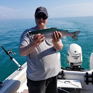 OLD PB Rainbow caught July 4 2018 while out with Tailfeathers 5lb.jpg
