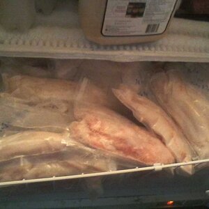 Seafood Section of my freezer Aug 18 2022.jpg
