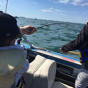IMG_0453.JPG