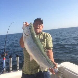 14.25 lb. Steelhead.JPG