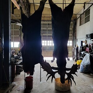 20221017_160201.jpg