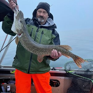 IMG_0202.JPG