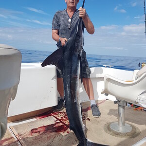 Cabo fishing November 16 2022 035.jpg