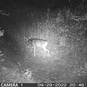00000206[1].JPG