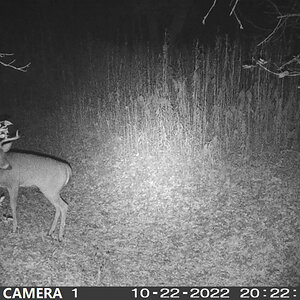 00000402[1].JPG