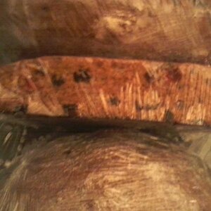 Fruit cake Dec 3 2022.jpg