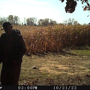 thumbnail_STC_2370.jpg