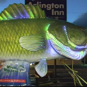 WALLEYE DROP PIC3.jpg