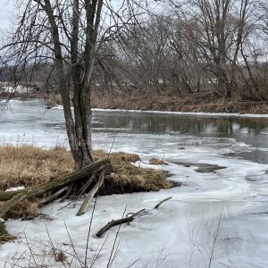 56312378-9C6A-40F0-99D1-21E69C808D1F.jpeg