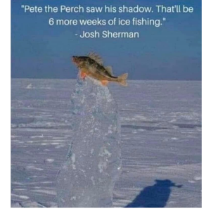 PETE THE PERCH.png