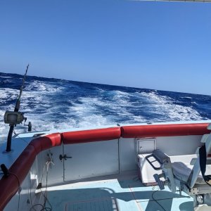 PXL_20230223_152158885.jpg
