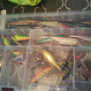 New tackle Box and what's in it (3).jpg