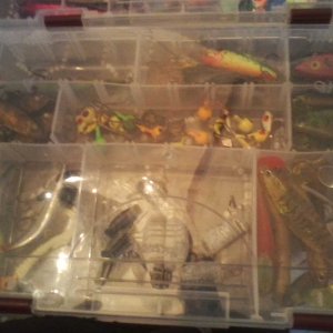 New tackle Box and what's in it (5).jpg