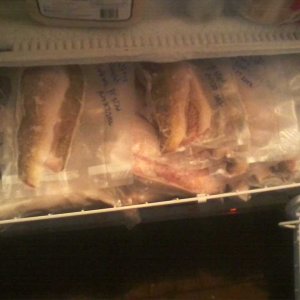 Seafood section of our freezer Aug 28 2022.jpg