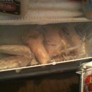 Seafood section of the freezer April 27 2023 What's left from LAST season..jpg