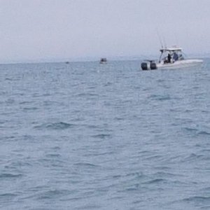anglers.jpg