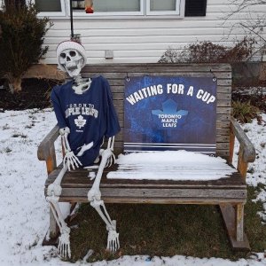 leafs.jpg