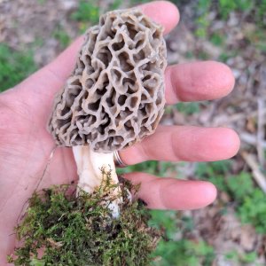 20230507_181200.jpg